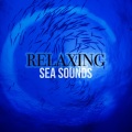 Relaxing Sea Sounds - Waves: The Sound of the Sea
