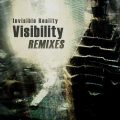 Invisible Reality - Visibility