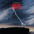501 - Short Circuit