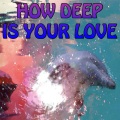 T.A.C Nation - How Deep Is Your Love - Tribute to Calvin Harris and Disciples