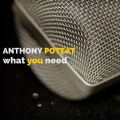 Anthony Poteat - What You Need