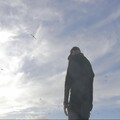 Majself、Grizzly Bear、Grizzly - Vlny
