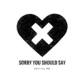 打扰一下乐团 - Sorry You Should Say