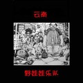 野娃娃乐队 - 青春