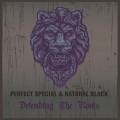 chezidek、Gyptian、lutan fyah、Perfect - Togetherness
