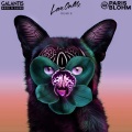 Galantis、Hook N Sling、Paris Blohm - Love On Me (Paris Blohm Remix)