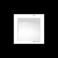 Vasili Carlson - Dude