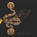 Mario Rašić、Balkan Zoo Ensemble - Roots And Weeds