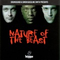 Drumsound & Bassline Smith、Bassline Smith、Drumsound - Tinman