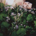 Blure - Between Flowers And Sleeping Words