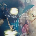阿YueYue - 风之花(Wind Flower)
