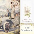 The Spotnicks - Your Cheating Heart