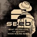 What Do You Love (Hook N Sling Remix)