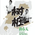 树桩组合 - 短