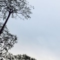 刑三千 - 怀珠