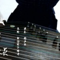 踏声涟 - 回忆杀！青城山下白素贞 (古筝版)