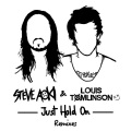 Just Hold On (DVBBS Remix)