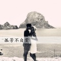 花哨 - Bruno Silva Feat Eeat Lemo (DJ版)