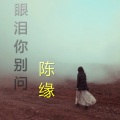 陈缘 - 只想做另类神