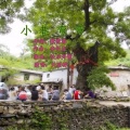 关丽群 - 小巷弯弯