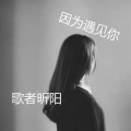 歌者昕阳 - 你说别在笑了
