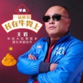 王岩 - 一朵鲜花长在牛粪上