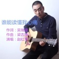 赵红军 - 谁能读懂我心痛
