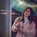 安贤珍 - 비가와