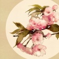 嫦婳 - 仙剑问情