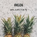 ANSON、Akon - Sorry Blame It On Me (ANSON Tropical Remix)