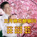韩晓辉 - 三月桃花醉铜川