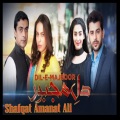 Dil-e-Majboor (From 