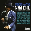Voices from the New Cool (Nu Jazz Crooners and Female Jazz Singers)