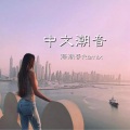 不找了 (Remix)(DJ海潮哥版)