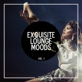 Redlounge Orchestra - Unknown Origin