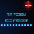 Mr. Teddy - Wind