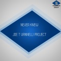Alison Limerick、Joe T Vannelli Project - Never Knew