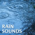 Torsten Abrolat、Regen Macher、Nature Relaxation TA - Pluie sonore pour s'endormir - sommeil apaisant et fatigant Pluie