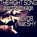 Cvdb、Shy - The Right Song