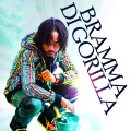 bramma、S-Lock Family - Have Dis (Radio Edit)