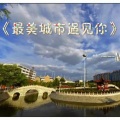 夜舞 - 翼城