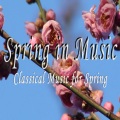 Silvano Frontalini、International Symphony Orchestra - La Molinarella: Symphony