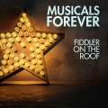The Musicals - Now I Have Everything