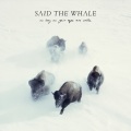 Said the Whale - Heaven