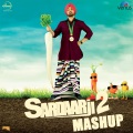 Sardaarji 2 Mashup (Rumaal / Pappleen / Razamand / Mitran / Desi / Sardaarji)