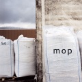 Mop - Bettyyy!!