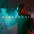 alpha wann - Hydroponie