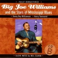 big joe williams - Mean Step Father Blues