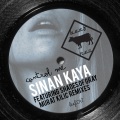 Sinan Kaya - Control Me