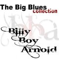 Billy Boy Arnold - Prisioner's Plea